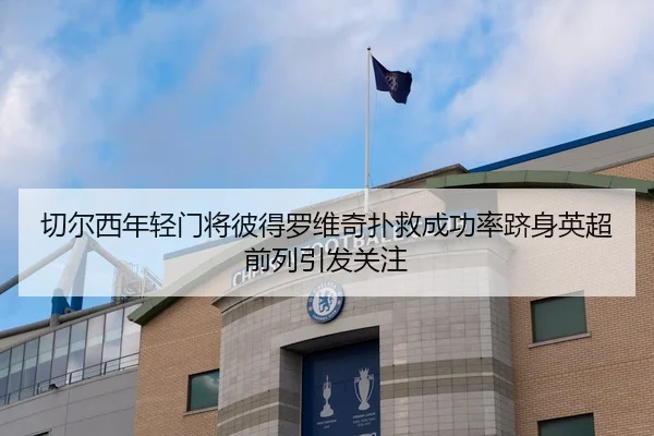 切尔西年轻门将彼得罗维奇扑救成功率跻身英超前列引发关注